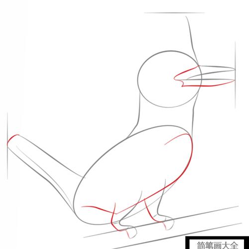 如何画翠鸟简笔画教程简笔画大全