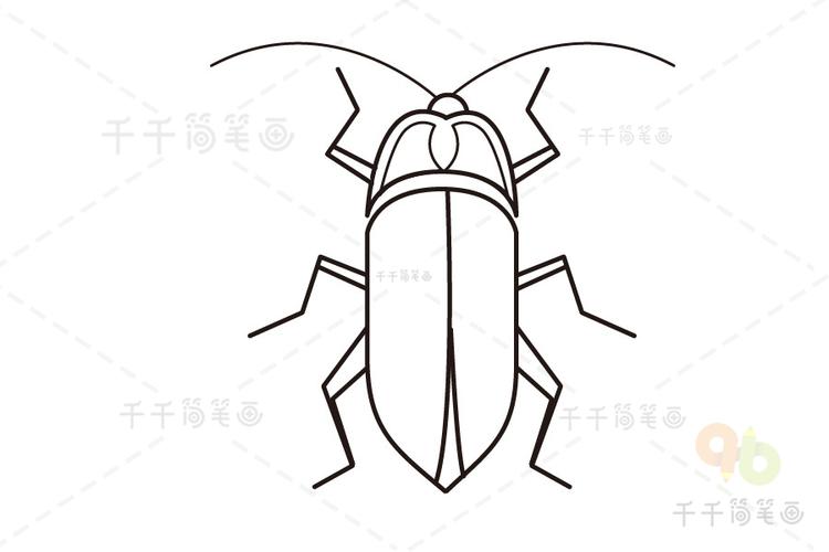 叩头虫简笔画图片昆虫简笔画