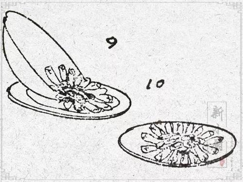 鲁菜的简笔画小报