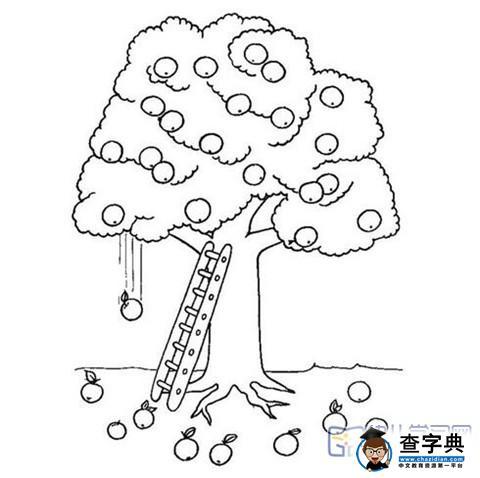 大树简笔画苹果树结果果了