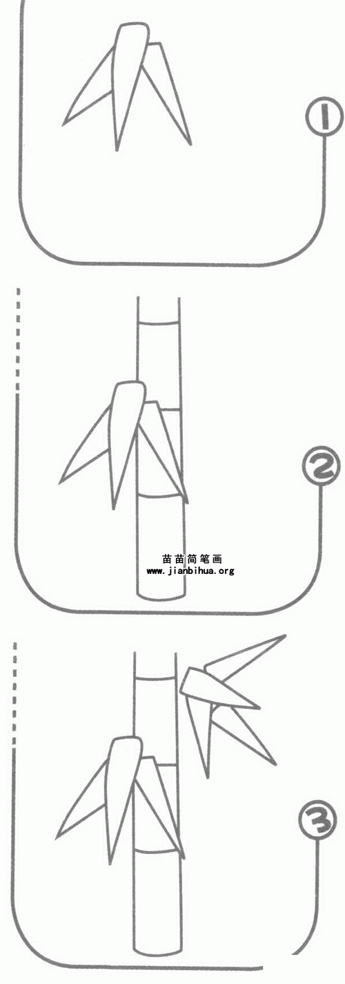 好看竹子简笔画图片大全