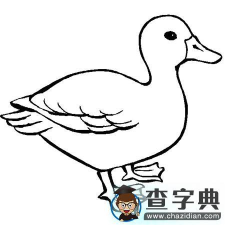 简笔画画面精美构图简洁充满孩子们的奇思妙想非常适合宝宝学习