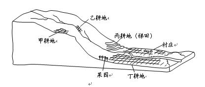 水土保持简笔画