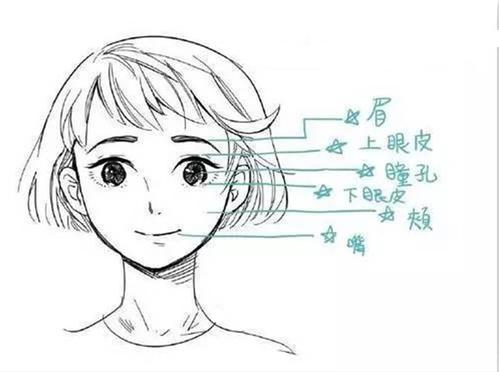 动漫人物鼻子简笔画