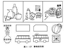 静物简笔画