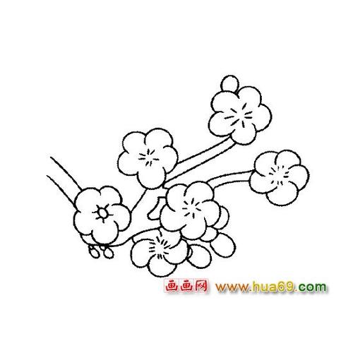 漂亮的梅花简笔画