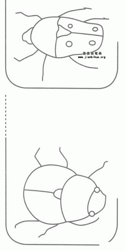 金龟子简笔画图片教程