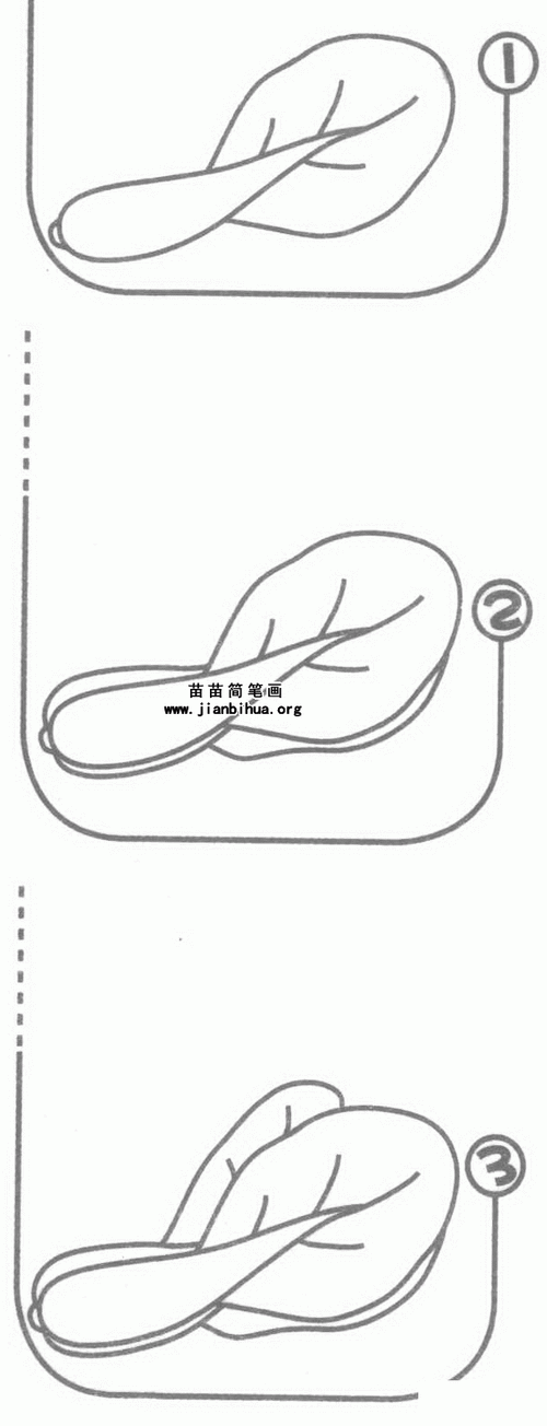 油菜简笔画图片教程