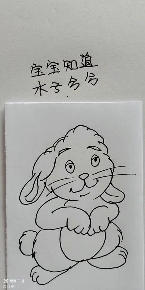 简笔画一只毛茸茸的小兔子