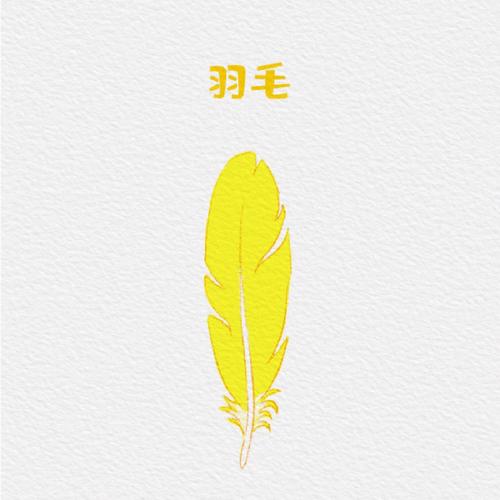 羽毛简笔画