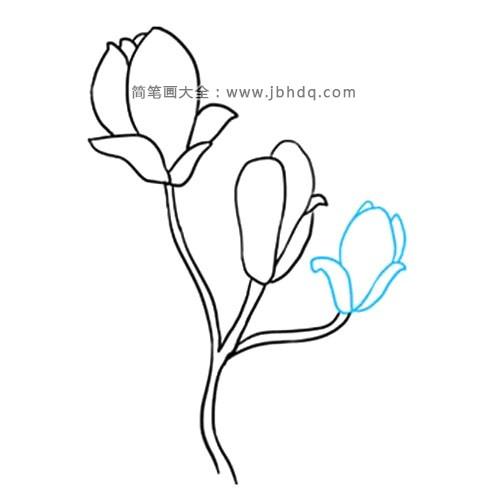 很容易学会的玉兰花简笔画