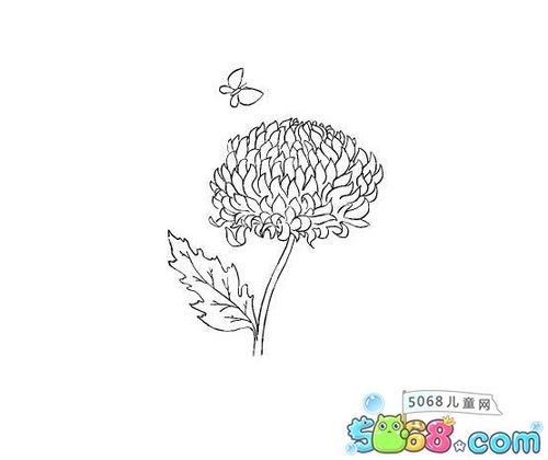 漂亮花瓣简笔画 第5页