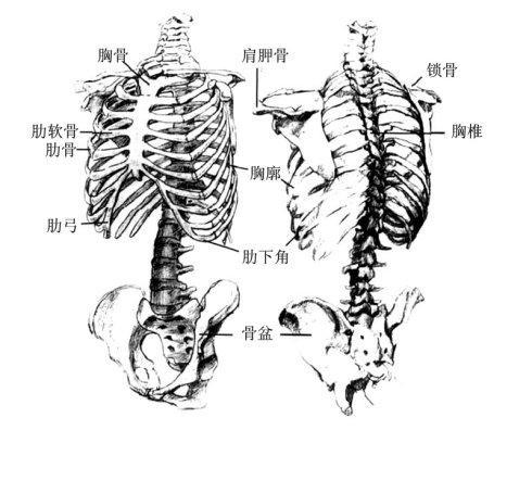 死人的骨头简笔画