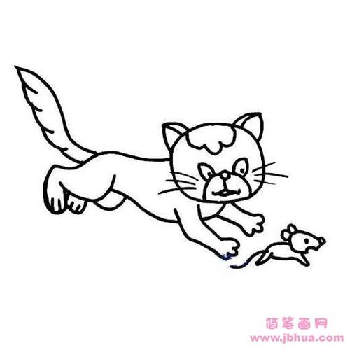 猫捉老鼠简笔画