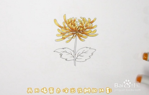 菊花诗简笔画