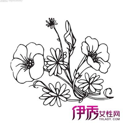 大花草简笔画