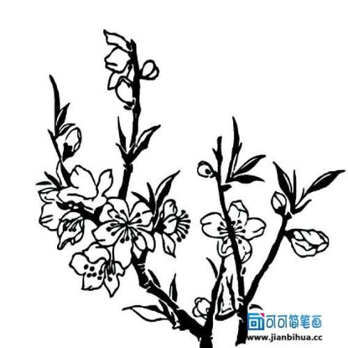 手绘桃花树图片简笔画图片大全大图