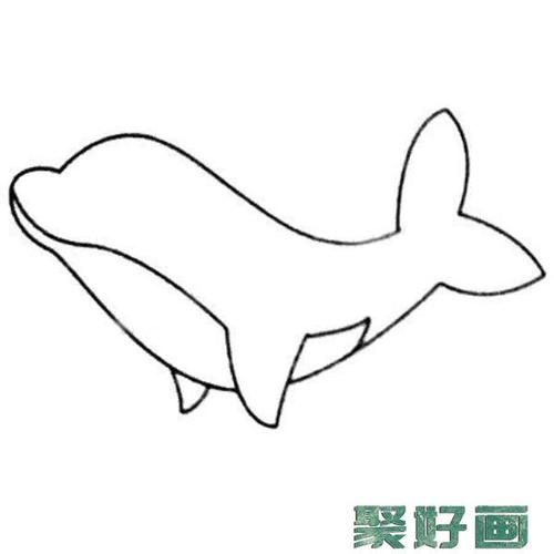 海豚简笔画图片大全怎么画简笔画教程