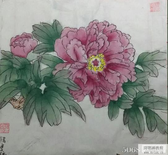 摇曳生姿的牡丹花国画牡丹 - 简笔画