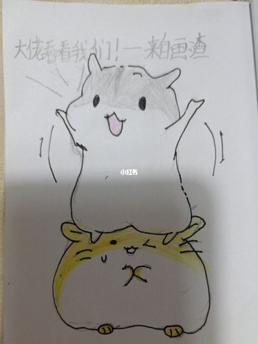 大佬看看我简笔画仓鼠文化绘画