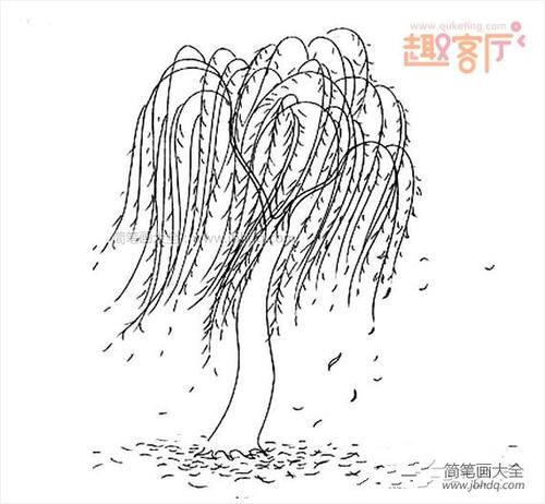 柳树的简笔画 小学生画柳树图片大全