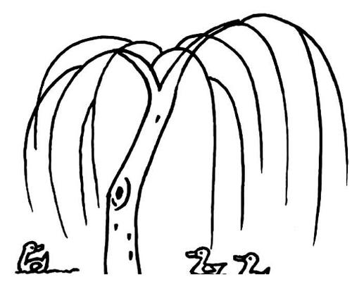 简笔画教案美丽潇洒的柳树
