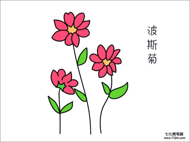 波斯菊花简笔画