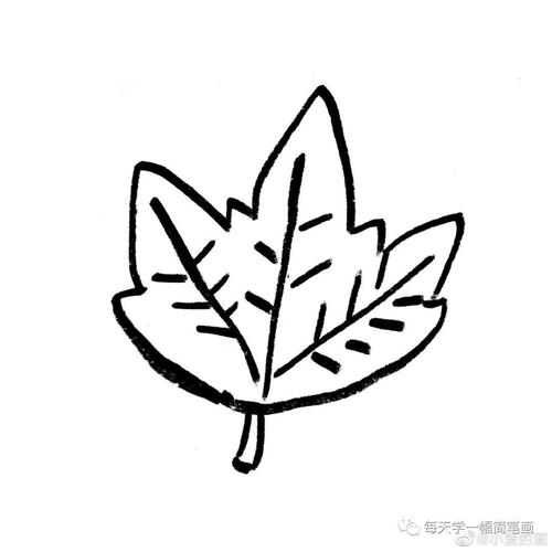 每天学一幅简笔画-爱的秋叶和秋实大家画秋天的小画儿或手抄报时可以