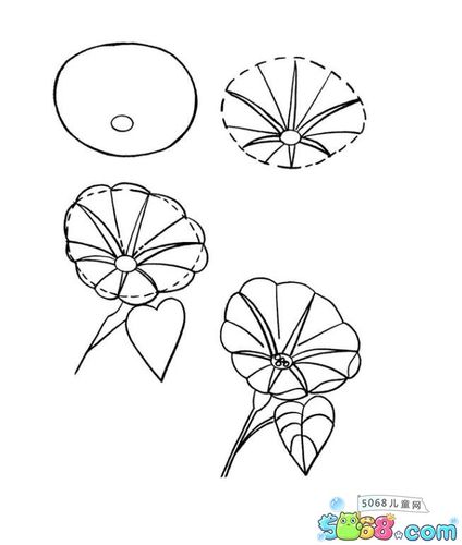 简笔画步骤图 - 一朵牵牛花