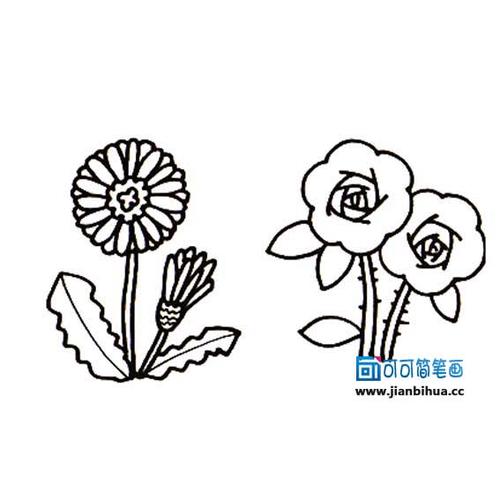 幼儿园画花草的简笔画