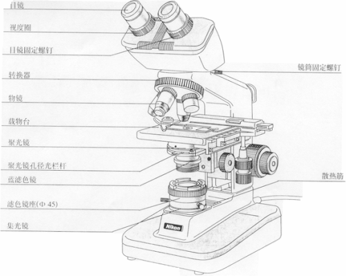 显微镜结构简笔画技术参数 尼康  information     显微镜的主要结构
