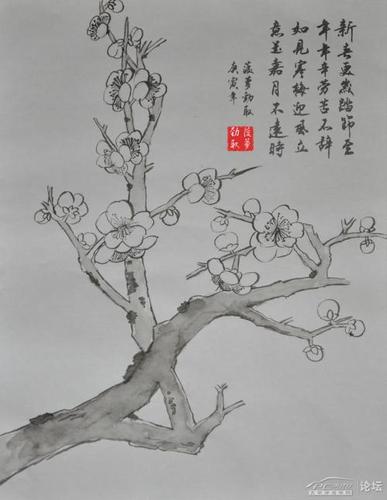 国画 简笔画 手绘 线稿 7931024 竖版 竖屏