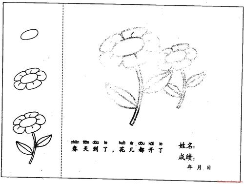 花儿开了简笔画法分步骤示范