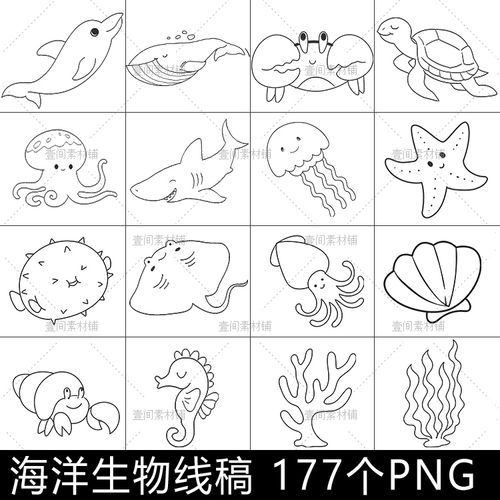 xg38卡通手绘海洋动物海底生物线稿简笔画儿童绘画临摹涂色素材图