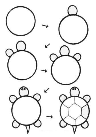 和其他宠物龟比起来草龟适应新环境的速度简笔画 教学图示 手绘 线稿