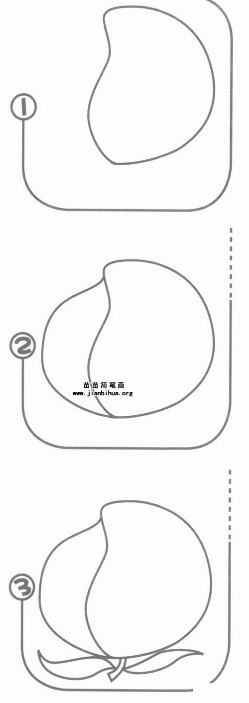 桃子简笔画图片大全大图教程