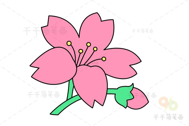 桃花简笔画教程