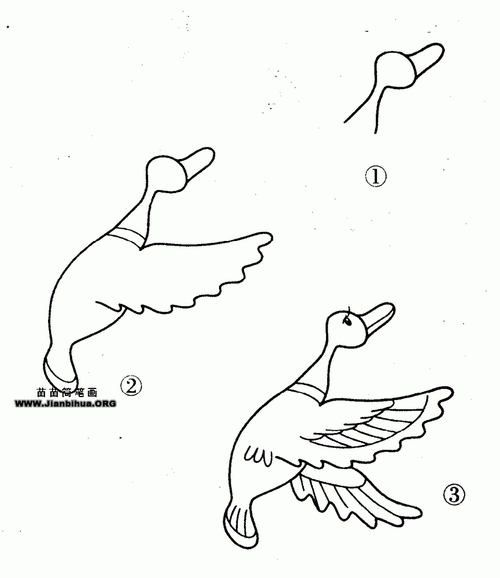 大雁简笔画图片教程