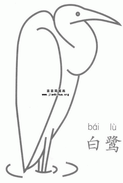 白鹭简笔画图片大全