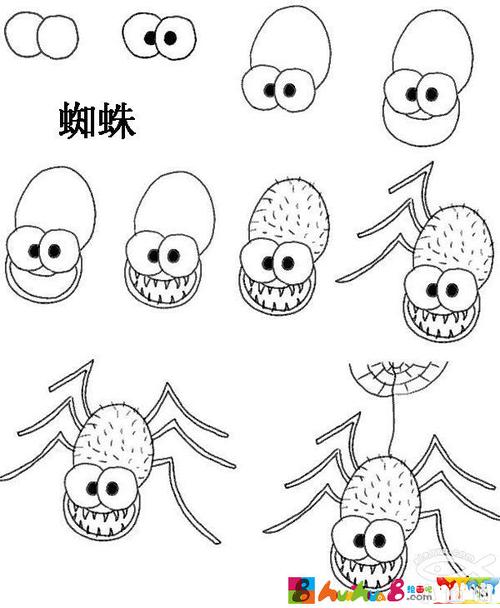 可怕的蜘蛛蜘蛛爬行动物简笔画