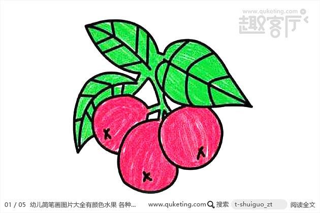 幼儿简笔画图片大全有颜色水果 各种各样彩色水果