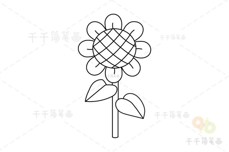 简笔画植物图片大全幼儿园简笔画植物图片大全