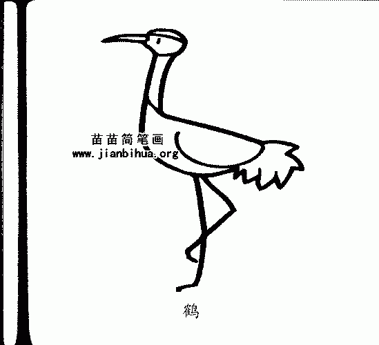 丹顶鹤简笔画与知识