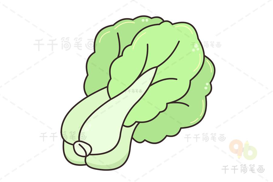 教你画大白菜简笔画