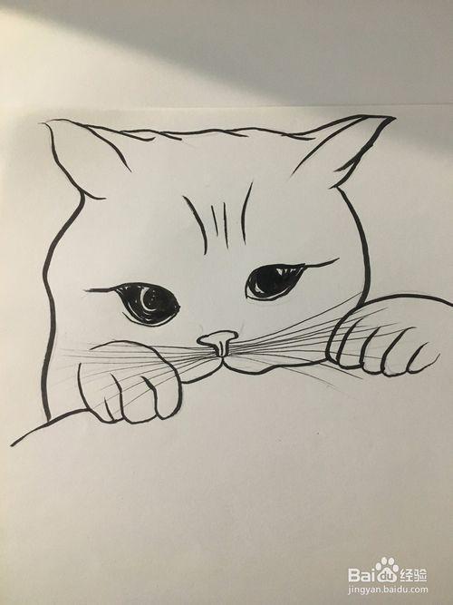 一只坐着小猫简笔画过程图儿童简笔画 卡通小猫的画法一只胖胖的猫咪