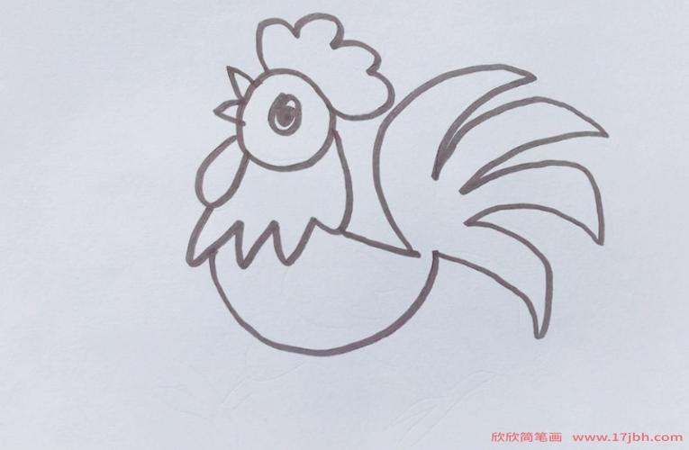 鸡的画法简笔画大公鸡怎么画图片