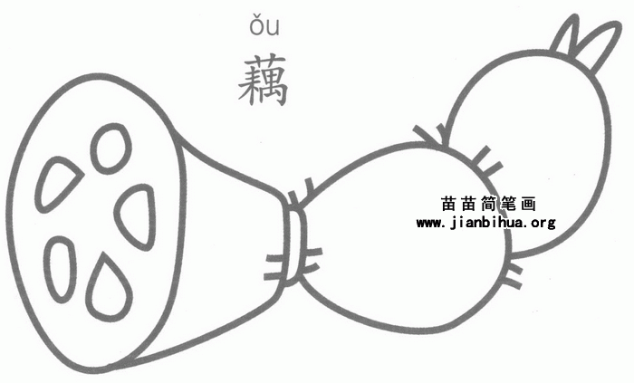 藕简笔画图片教程