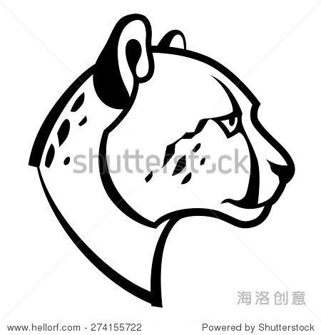 猎豹头怎么画奔跑中的猎豹怎么画猎豹简笔画画法猎豹学名acinonyx