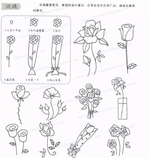 简笔画教程儿童植物简笔画大全上