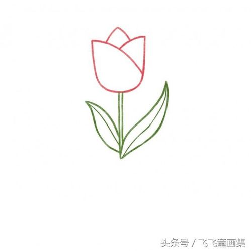 郁金香怎么画 郁金香简笔画画法 郁金香儿童卡通画绘画教程图片